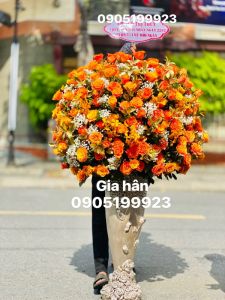 Hoa Bình 127