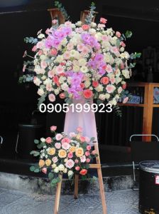 Hoa khai Trương 123