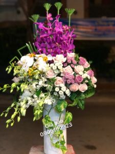 Hoa Bình 033