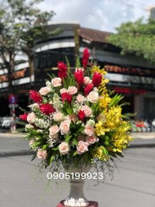 Hoa Bình 057