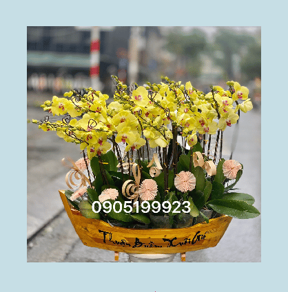 LAN HỒ ĐIỆP