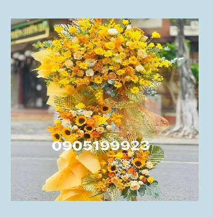 HOA KHAI TRƯƠNG